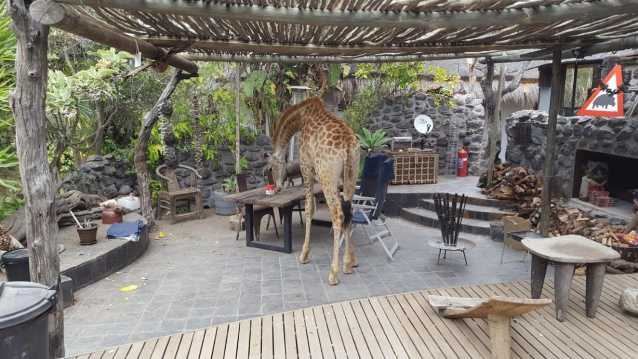 Hippomoon Lodge Game Reserve Hoedspruit Exterior foto